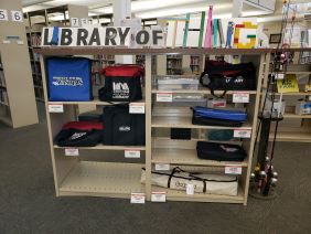 Library of Thing Shelf